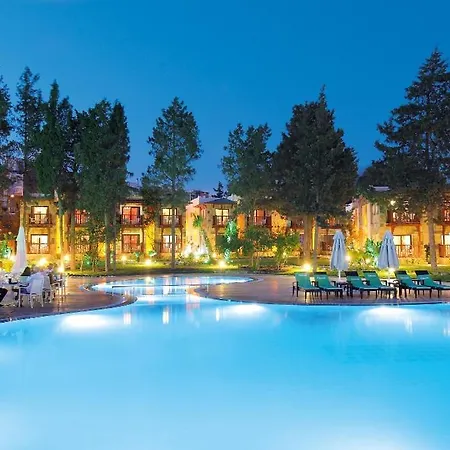 Camelot Boutique Akiarlar